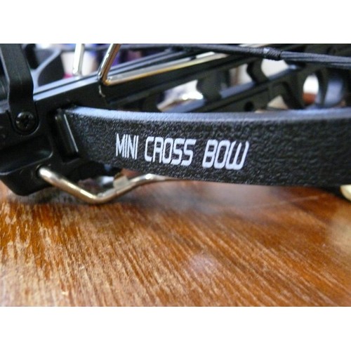 423 - MINI CROSSBOW AND ARROWS