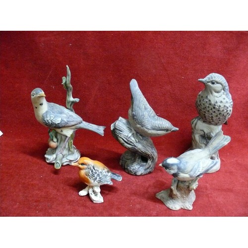 76 - FIVE BIRD FIGURES 2 LARGER ONE'S BY POOLE POTTERY AND 3 OTHERS