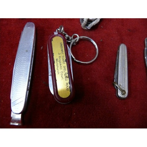 19 - A COLLECTION OF VINTAGE PENKNIVES ALLSORTS OF SIZES AND USES EVEN  A SOLAR, PIPE KNIFE MULTI BLADE