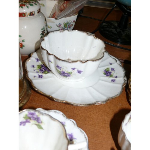 115 - A DELICATE CHINA PART DINNER SET ADORNED WITH VIOLETS, 2 PLATTERS, 12 TEA PLATES, 6 SAUCERS, 9 CUPS ... 