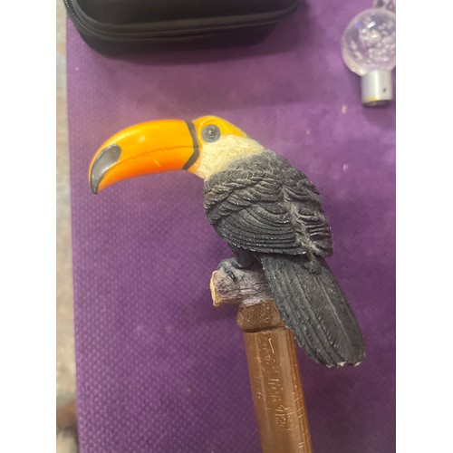 101B - TOUCAN HANDLED WALKING CANE