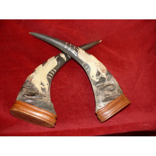 77 - WATER  BUFFALO HORNS HAND CARVED AND PAINTED, VINTAGE