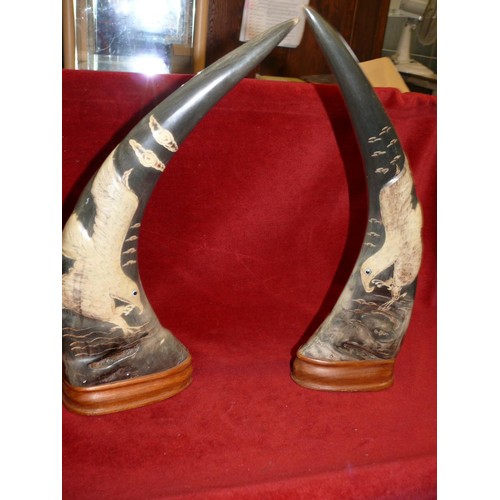 77 - WATER  BUFFALO HORNS HAND CARVED AND PAINTED, VINTAGE