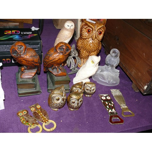 135 - A PARLIAMENT OF OWLS, WE HAVE CERAMIC, RESIN ,BRASS, GLASS AND SOME NICELY DECORATED BRASS ENAMELLED... 