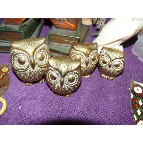 135 - A PARLIAMENT OF OWLS, WE HAVE CERAMIC, RESIN ,BRASS, GLASS AND SOME NICELY DECORATED BRASS ENAMELLED... 