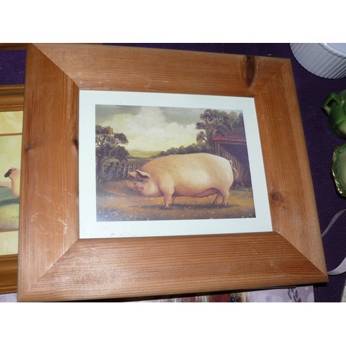 172 - COLLECTION OF FARMYARD ANIMAL PRINTS MOSTLY IN PINE FRAMES