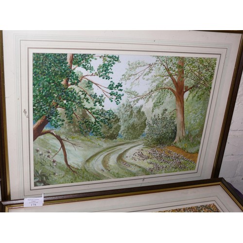 178 - 3 FRAMED AND GLAZED WATER COLOURS SIGNED BY DON SYMS