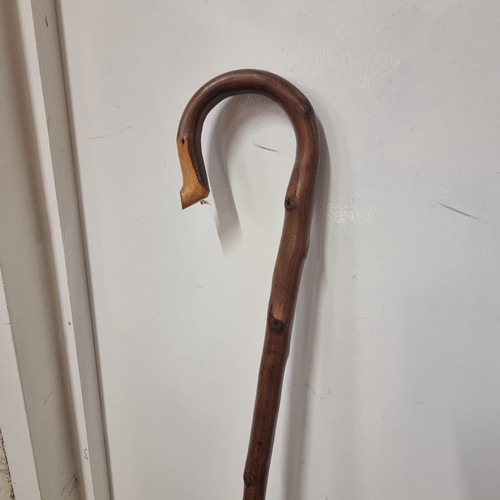 91 - SHEPHERDS CROOK