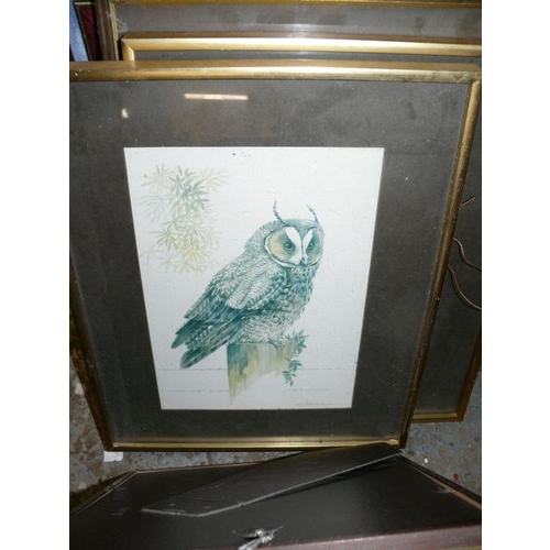 192 - LARGE COLLECTION OF FRAMED AND GLAZED OWL PICTURES