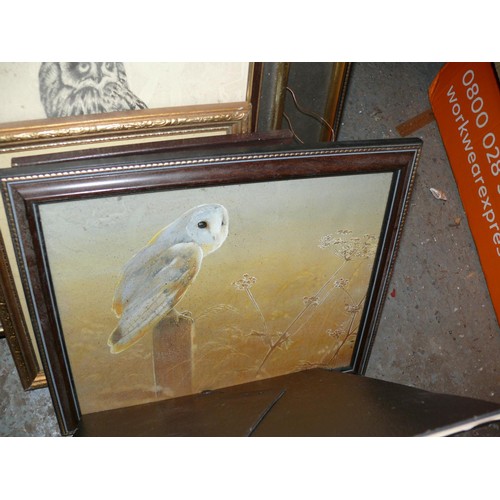 192 - LARGE COLLECTION OF FRAMED AND GLAZED OWL PICTURES