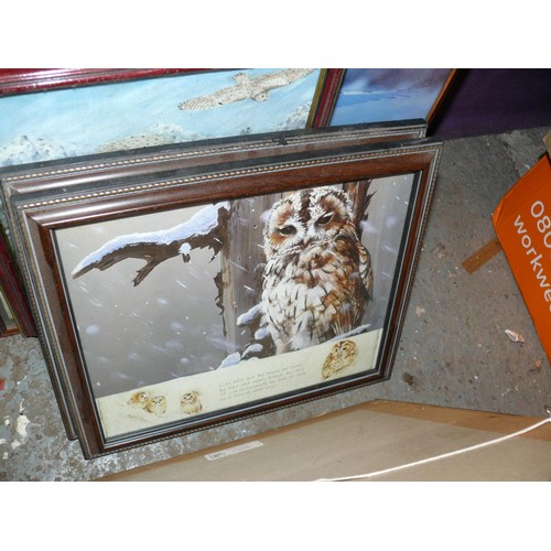 192 - LARGE COLLECTION OF FRAMED AND GLAZED OWL PICTURES