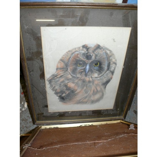 192 - LARGE COLLECTION OF FRAMED AND GLAZED OWL PICTURES