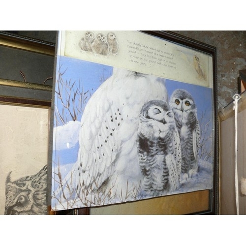 192 - LARGE COLLECTION OF FRAMED AND GLAZED OWL PICTURES