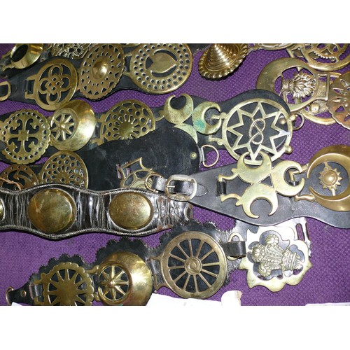 104 - LARGE COLLECTION OF HORSE BRASSES AND LEATHERS