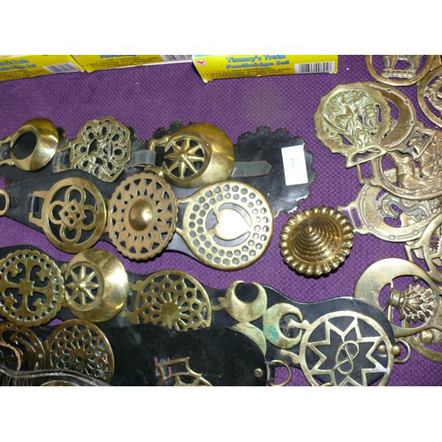 104 - LARGE COLLECTION OF HORSE BRASSES AND LEATHERS