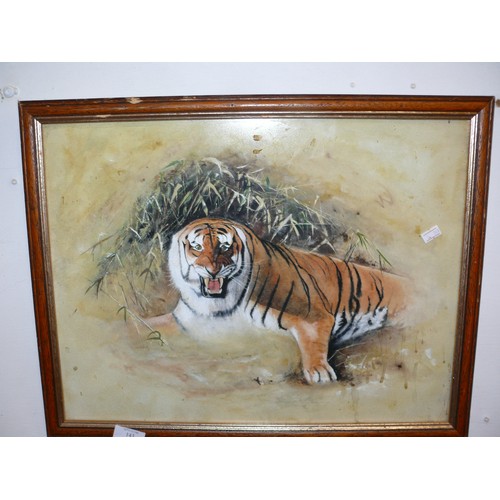 143 - 2 FRAMED TIGER PICTURES