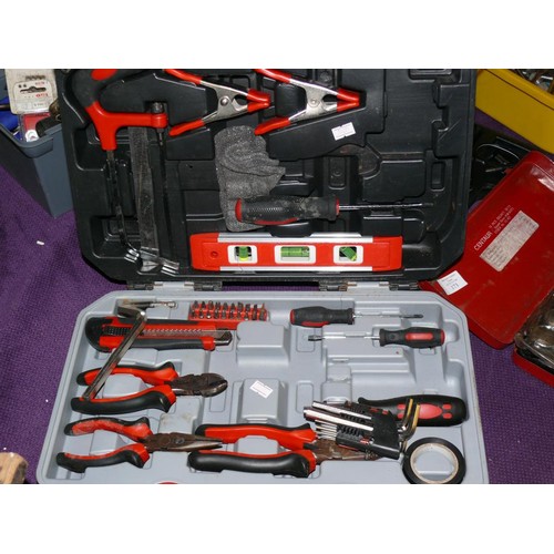 175 - MULTI TOOL SET IN FITTED CASE