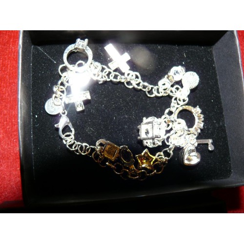 29 - 2 BOXES OF SILVER CHARM BRACELETS WITH 12 CHARMS ON EACH