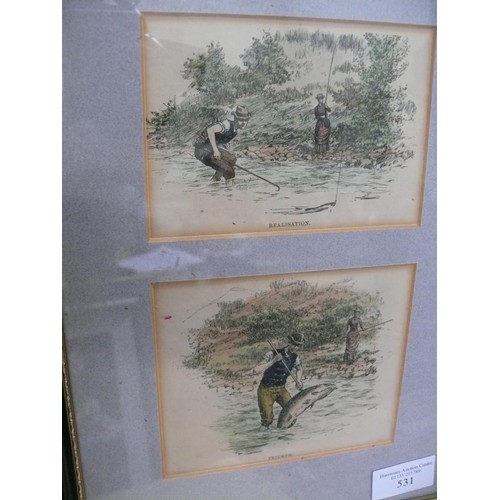 531 - Victorian hand coloured engraved plates in 3x frames - 