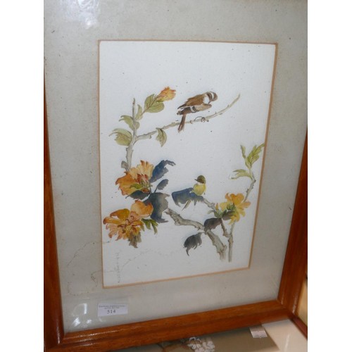 514 - Original 20thC watercolour of small birds on branches. Signed J. Pittaway. Framed and glazed 48cm x ... 