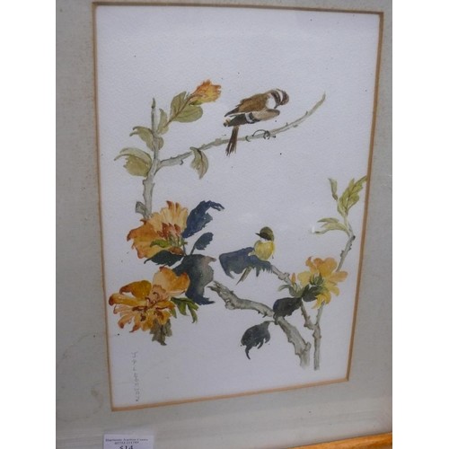 514 - Original 20thC watercolour of small birds on branches. Signed J. Pittaway. Framed and glazed 48cm x ... 