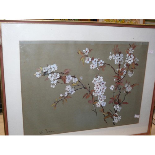 515 - 20thC original watercolour of cherry blossom branches. Signed Joy Parsons. Framed and glazed 44.5cm ... 