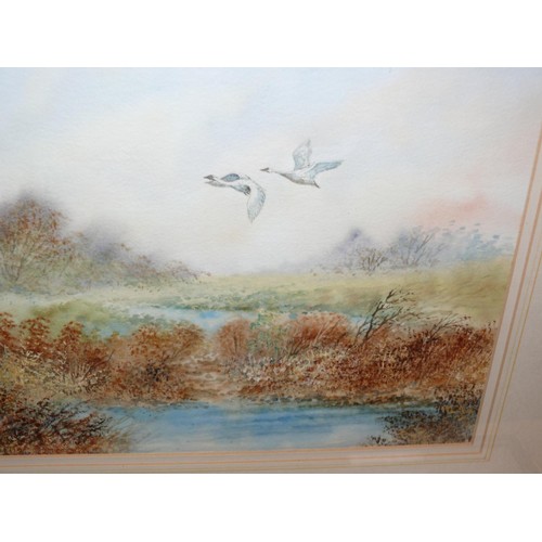 513 - Mid 20thC watercolour of a river scene with geese/swans in flight. Unsigned. 55cm x 45cm.