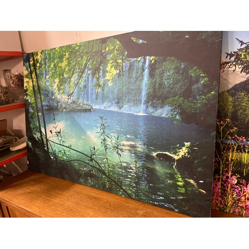 493 - 4 VERY LARGE CANVAS ART PICTURES (PROCEEDS TO GO TO MERRYLEGS CHARITABLE TRUST ANIMAL CHARITY)