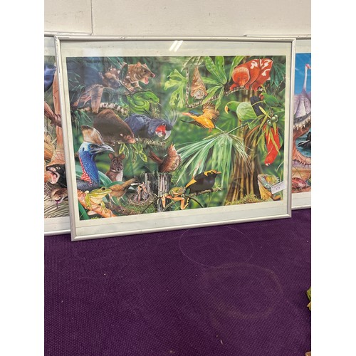 98 - 3 FRAMED AND GLAZED PRINTS OF TROPICAL BIRDS AND ANIMALS