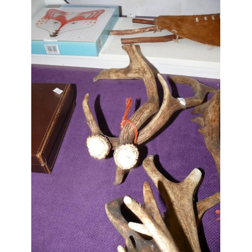 63 - 4 PAIRS OF ANTLERS