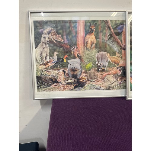 98 - 3 FRAMED AND GLAZED PRINTS OF TROPICAL BIRDS AND ANIMALS