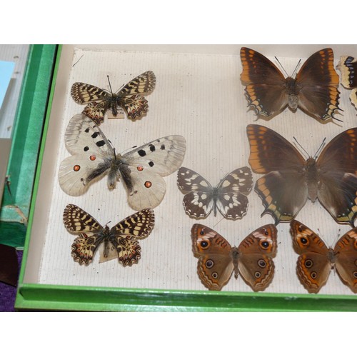 64 - ENTOMOLOGY BOX OF BUTTERFLY SPECIMENS