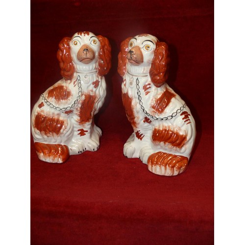 1 - A GOOD PAIR OF STAFFORDSHIRE RED AND WHITE SPANIELS