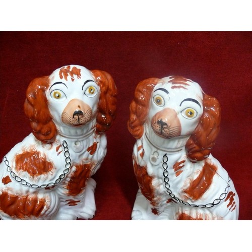 1 - A GOOD PAIR OF STAFFORDSHIRE RED AND WHITE SPANIELS