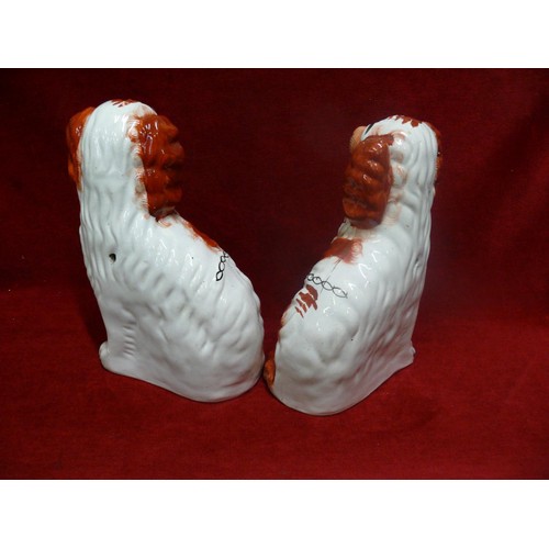 1 - A GOOD PAIR OF STAFFORDSHIRE RED AND WHITE SPANIELS