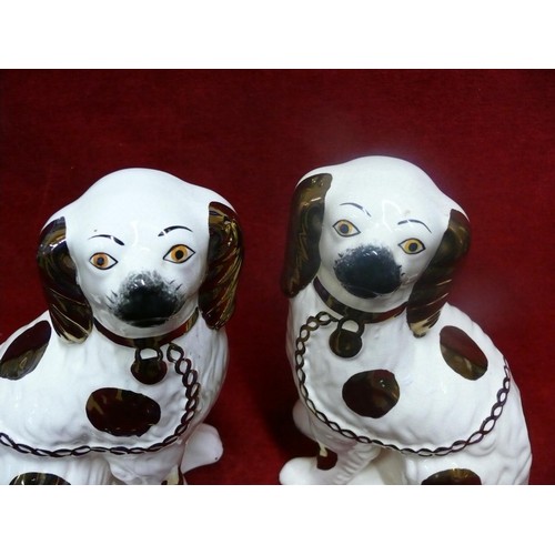 2 - A GOOD PAIR OF STAFFORDSHIRE KING CHARLES SPANIELS