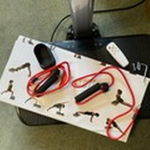 354 - VIBROSLIM ALTITUDE VIBRATION PLATFORM WITH REMOTE, EXERCISE CHART, CD, ROPES AND INSTRUCTION BOOKLET... 