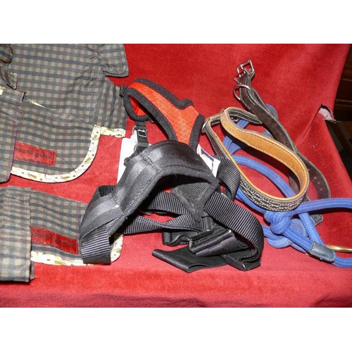 131 - 3 CHIHUAHUA COATS AND A SELECTION OF HARNESSES AND LEADS (SOME WITH TAGS)