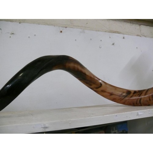 91 - KUDU SHOFAR HORN MUSICAL INSTRUMENT AS USED IN JEWISH CEREMONIES