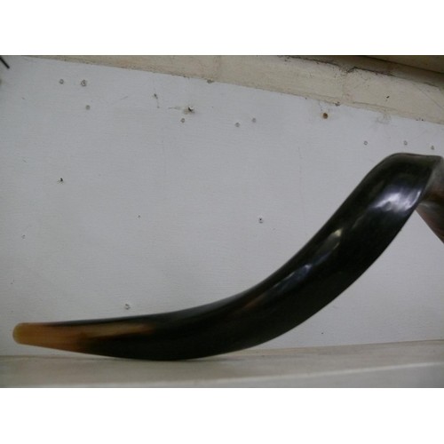 91 - KUDU SHOFAR HORN MUSICAL INSTRUMENT AS USED IN JEWISH CEREMONIES