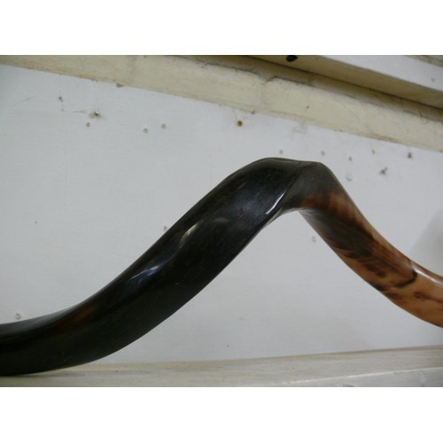 91 - KUDU SHOFAR HORN MUSICAL INSTRUMENT AS USED IN JEWISH CEREMONIES