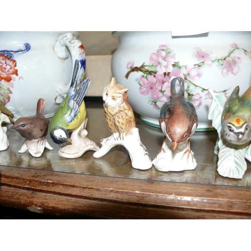 146 - 11 CHINA GOEBEL BIRD FIGURINES