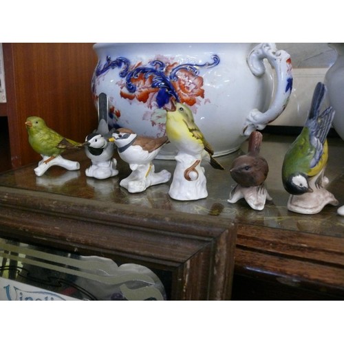 146 - 11 CHINA GOEBEL BIRD FIGURINES