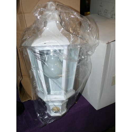 250 - VARENNES WALL LANTERN WITH PAIR AND A PAIR DARK SKY FLOODLIGHT BOTH APPEAR NEW IN BOX PLUS 2 FURTHER... 