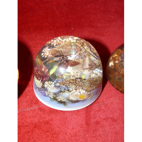 33 - Vintage amber bubble glass paperweight, together with 2x pyrex floral paperweight domes.