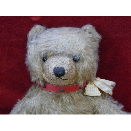 28 - Vintage 'Chiltern hygienic toys' teddy bear with a red studded collar.