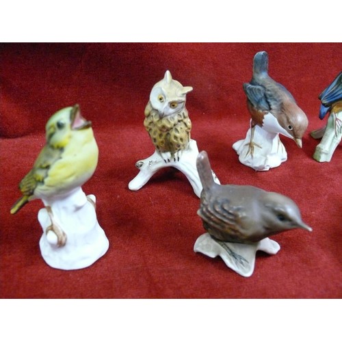 74 - 11 CHINA GOEBEL BIRD FIGURINES PLUS A GOEBEL LADY FIGURINE 'DEMURE ELEGANCE'