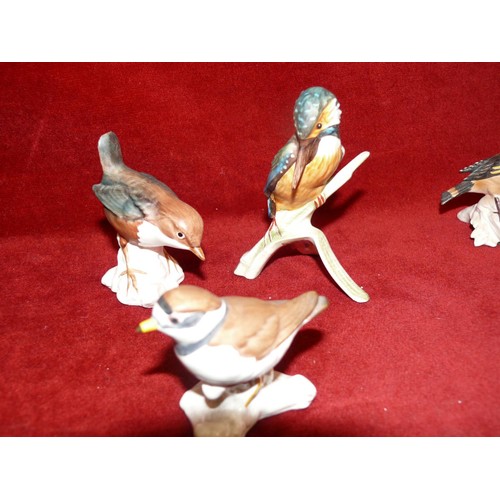 74 - 11 CHINA GOEBEL BIRD FIGURINES PLUS A GOEBEL LADY FIGURINE 'DEMURE ELEGANCE'