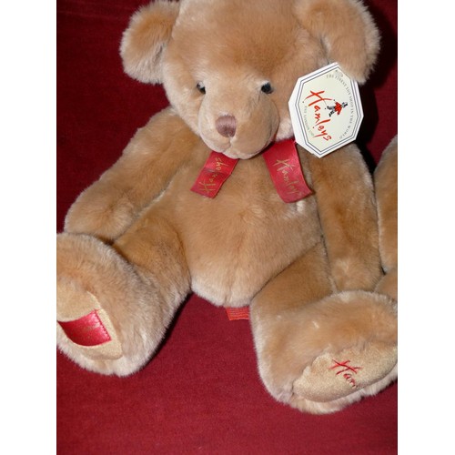 120 - 2 HAMLEYS TEDDY BEARS, 2000 MILLENIUM BEAR AND 2001 SPECIAL EDITION