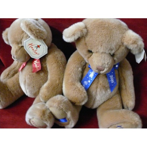 120 - 2 HAMLEYS TEDDY BEARS, 2000 MILLENIUM BEAR AND 2001 SPECIAL EDITION